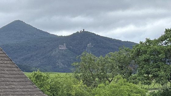 3 châteaux vus de Ribeauvillé