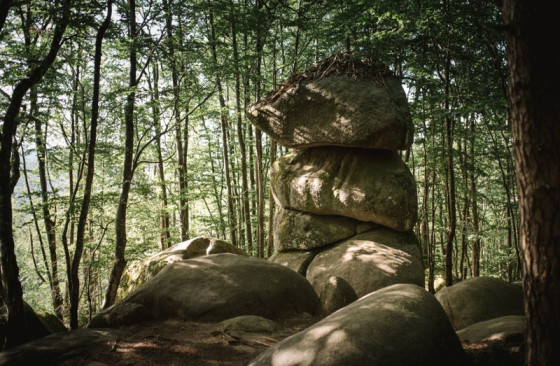 3 fromages sur le sentier des merveilles Sidobre - Miles and love