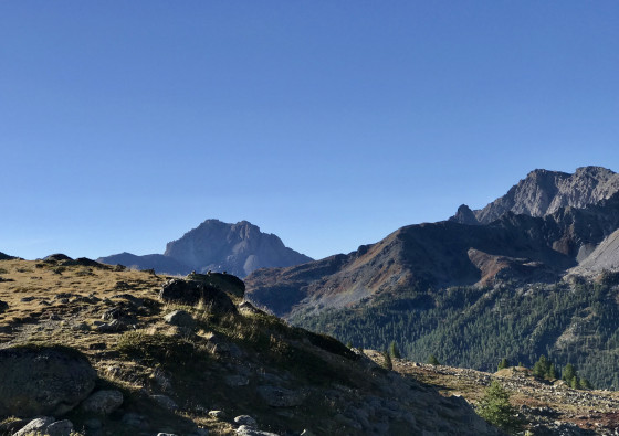 3 marmottes