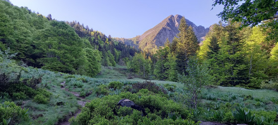 Dent d'Orlu
