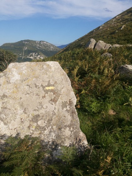 4- Roches erratiques en cours de parcours, marquées d\'un ancien balisage jaune