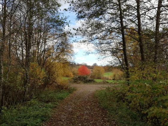 4 Chemins
