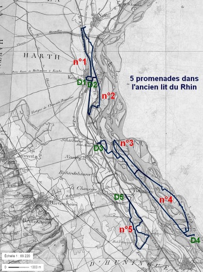 Promenades dans l'ancien lit du Rhin