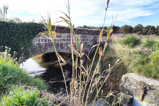 6. Pont du canal de Carpentras