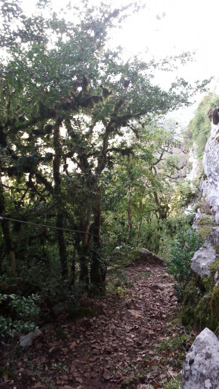 À flanc de falaise