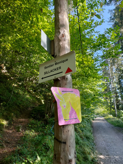 A gauche vers le sentier Monique