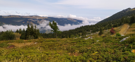 À l\'aller, au-dessus des nuages