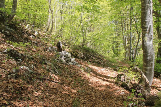 A l\'approche du cairn