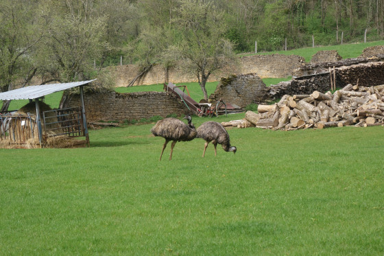A l'entrée du village