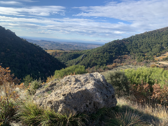 A l'ouest , la grande descente vers le Rh&ocirc;ne
