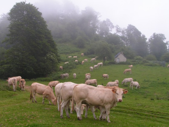A la Cabane d\'Auriste