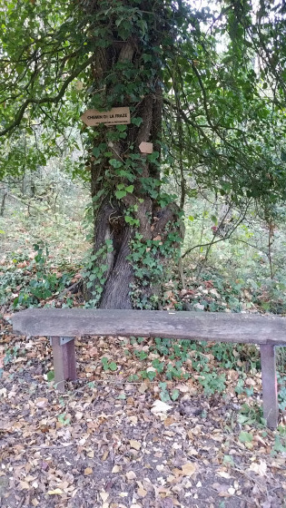 A la crois&eacute; des chemins