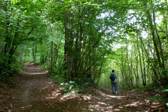 A la crois&eacute;e des chemins