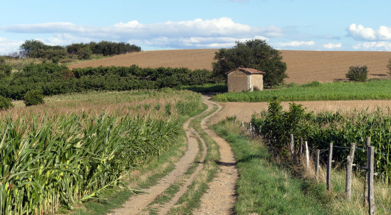 A la croisée des chemins