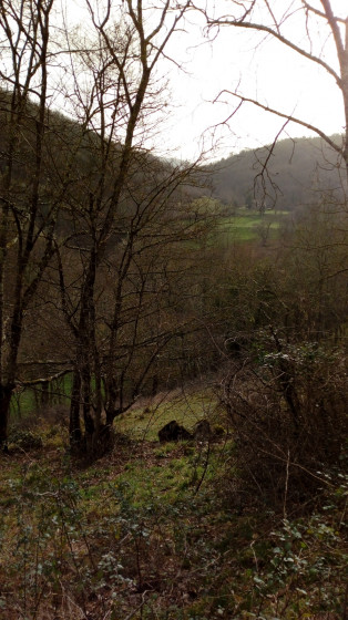 A la lisi&egrave;re des sous-bois apr&egrave;s Coumaragues
