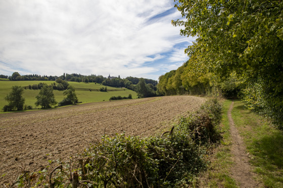 A la lisière du bois