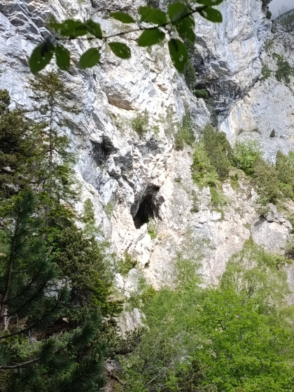 A la montée