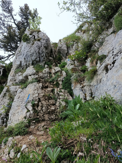 A la montée