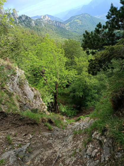 A la montée