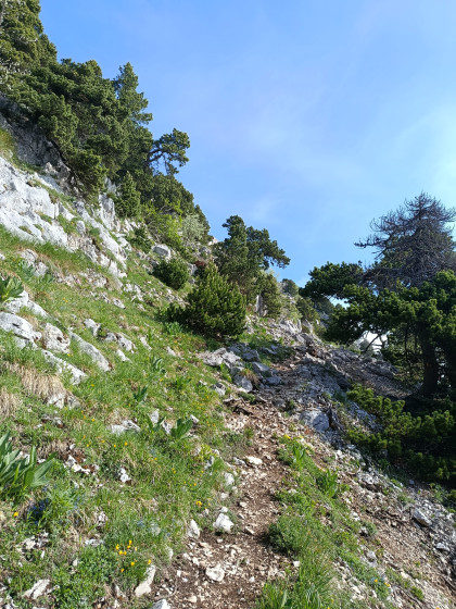 A la montée