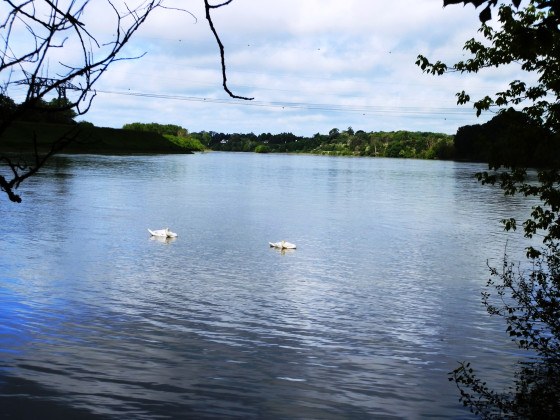 A la Pointe de Courpain. Loiret &agrave; gauche, Loire &agrave; droite