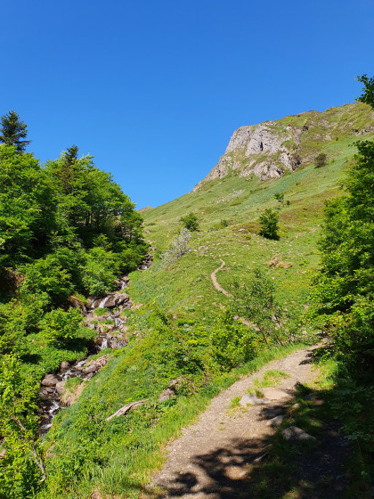 A la sortie de la forêt dans le Vallon d\'Aas de Bielle