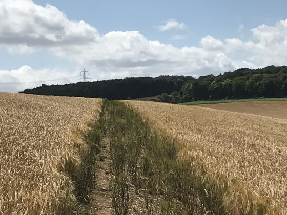 7. Un long chemin tout droit