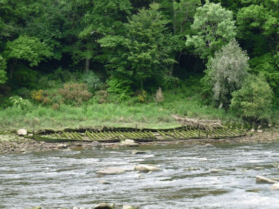 A mar&eacute;e basse