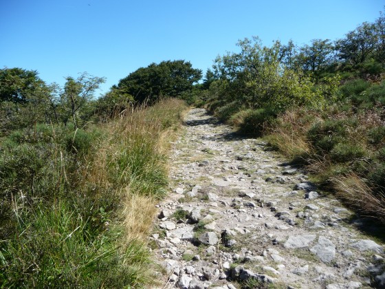 A nouveau la route des crêts