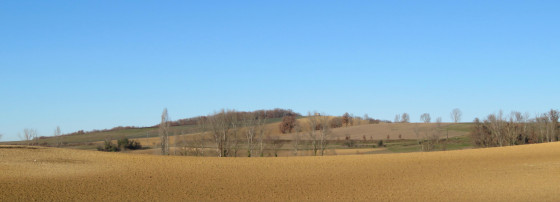 A perte de vue