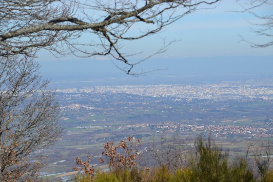 A perte de vue