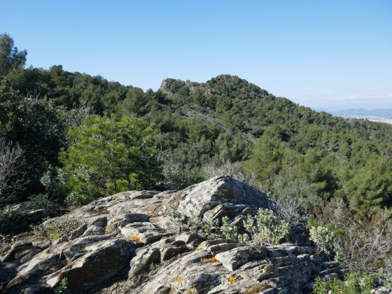 A proximité, le sommet du Quicon A proximité, le sommet du Quicon