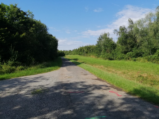 a route forestière de la Bellevue