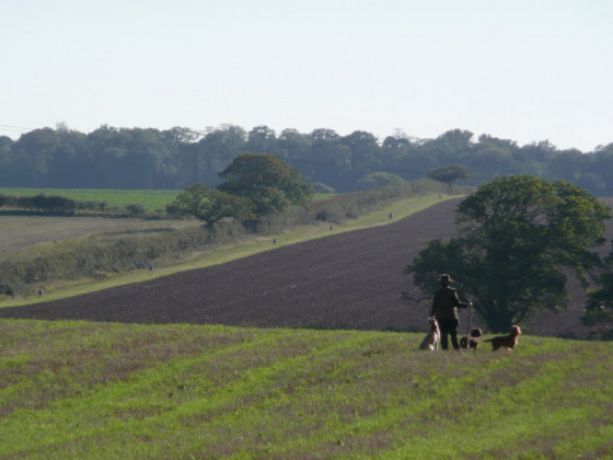 A shoot on th eHolkham estate