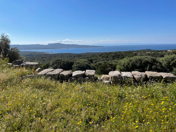 A Testa, hameau ruiné