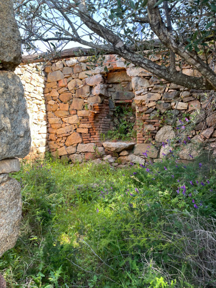 A Testa, hameau ruiné
