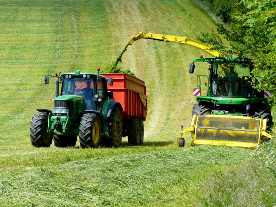 &agrave; travers champs apr&egrave;s le lieu-dit le Moulin