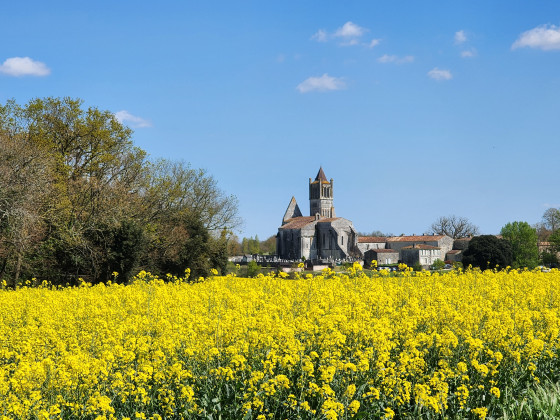 Abbaye de Sablonceaux