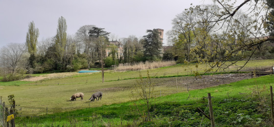 Abbaye de truttenhousen