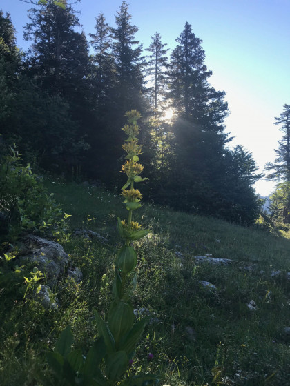Abords Col de la Sarna