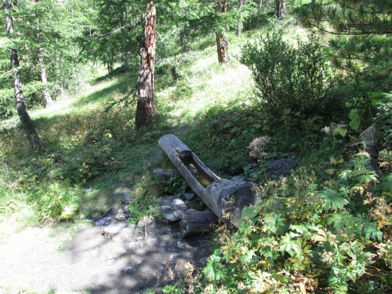 Abreuvoir