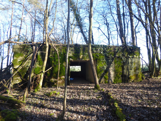 Abri bétonné pour un canon