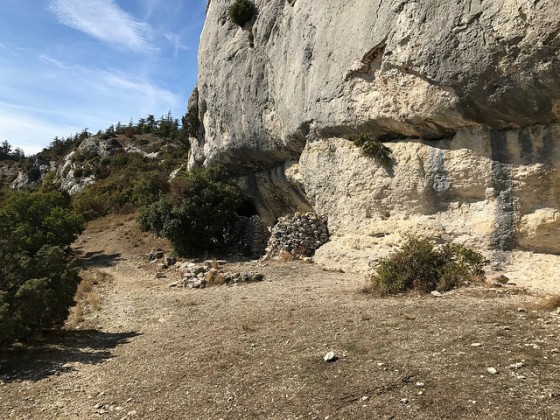Abris pour brebis