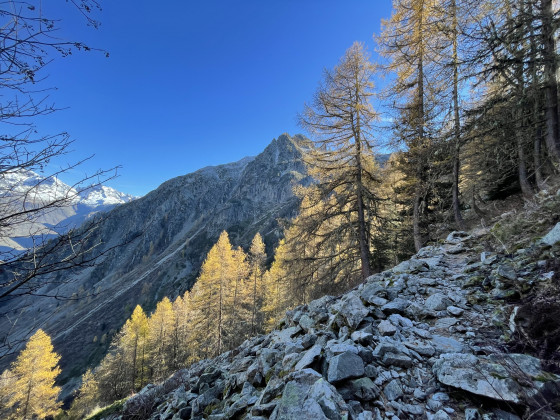 Acc&egrave;s au lac, partie for&ecirc;t