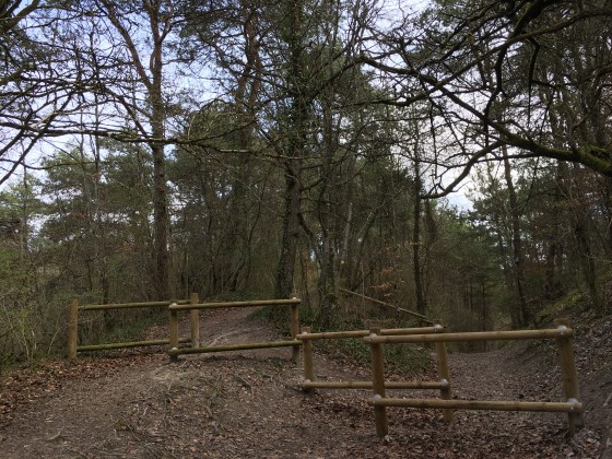 Acc&egrave;s au site de Montaigu.