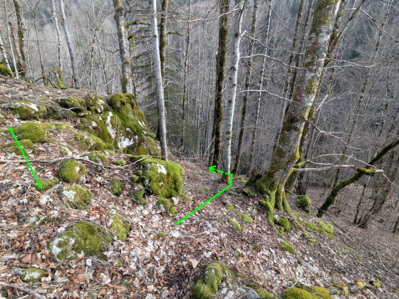 Accès partie menant au grand Saut à l\'Âne