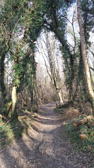 Agr&eacute;able remont&eacute;e vers St Pierre apr&egrave;s le pont de bois sur l'Ozon