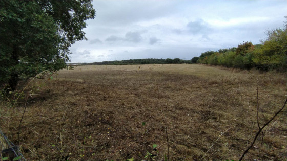 Agroforesterie