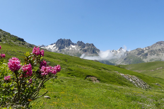 Aiguilles de l'Argenti&egrave;re