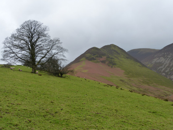 Aikin Knott and Ard Crags
